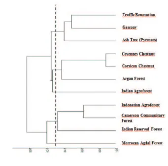 Fig. 2. Cluster Analysis of the 11 case studies of rural forests