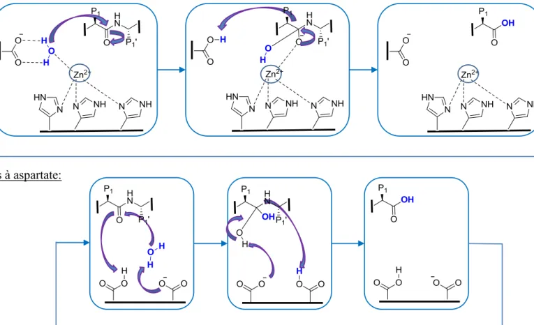 Figure I-5. Catalyse avec lien non-covalent. (Inspiré de M. Bogyo et al. Nat Struct Mol Biol