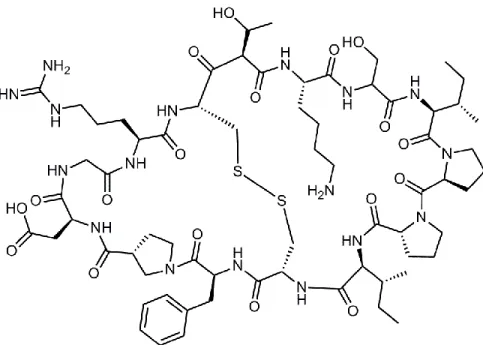 Figure I-12. La structure du SFTI-1 (sunflower trypsin inhibitor-1). 