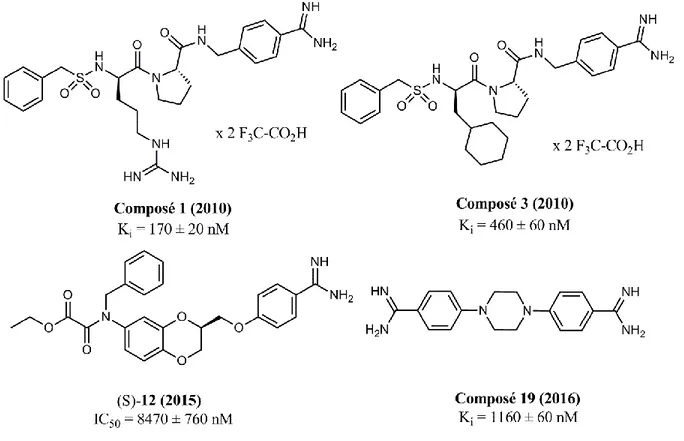 Figure I-14. Inhibiteurs de type benzamidine. 