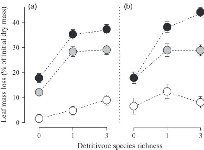 Fig. 2. Leaf mass loss as a function of aquatic hyphomycete and detritivore species richness