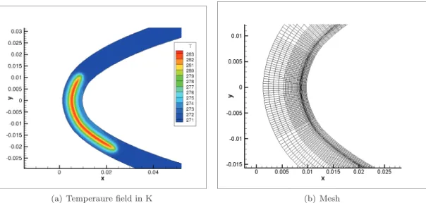 Figure 3. Example of temperature field and mesh in the structure