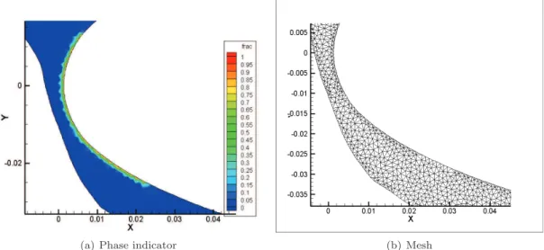 Figure 6. Phase indicator and mesh of the ice block