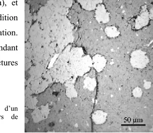 Figure 7  : micrographie optique en réflexion d’un  échantillon de fayalite (gris foncé) en cours de  transformation en ringwoodite  (gris clair)