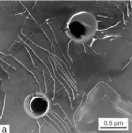 Figure 1 : micrographie (MET) montrant des précipités de  FPP interagissant avec un sous joint de grain dans le  l’olivine recuite à 1300°C et 300 MPa