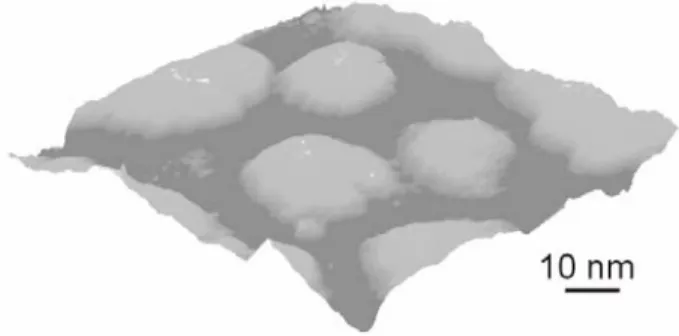 Fig. 3.1 : Image STM 3D de nanocristaux de  PbSe déposés sur une surface d’or (111). 
