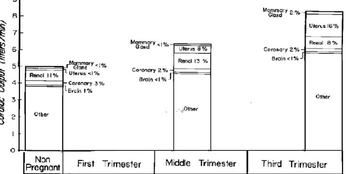 Figure 37 : Redistribution du flux sanguin au cours de la gestation chez la brebis (39) 