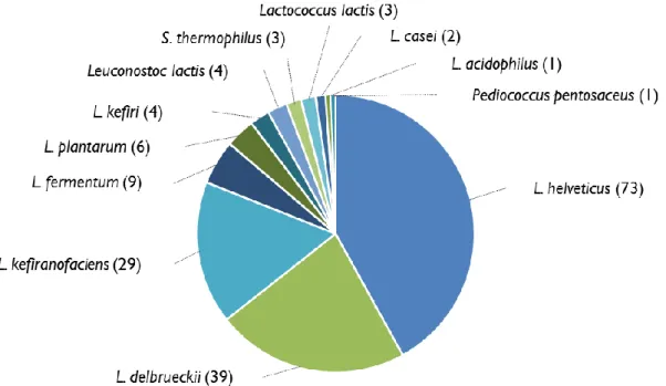 Figure 21 : Abondance des espèces bactériennes (nombre d’isolats) dans la collection de souches  isolées en Mongolie et identifiées par séquençage de l’ADNr 16S.