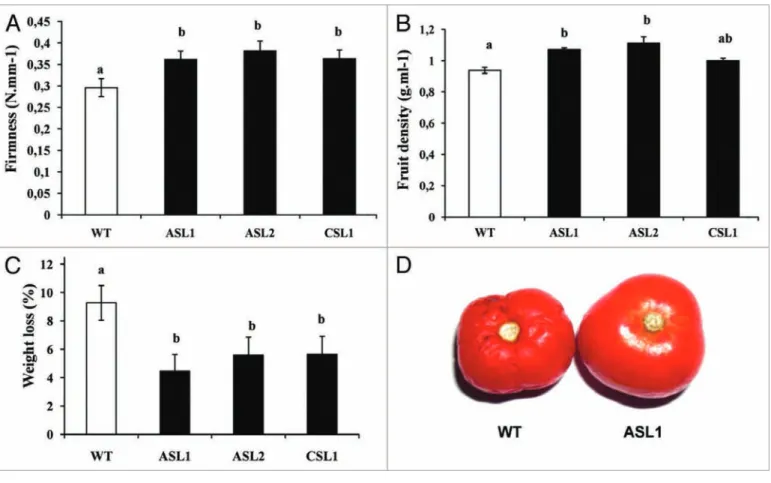 Figure 1. Density, firmness and weight loss measured on WT and Sl-ARF4 down-regulated fruits
