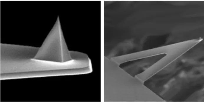 Figure 2.2.: ScanAsyst-Fluid probe. Scanning Electron Microscopy images of the tip (left) and cantilever (right), taken upside down.