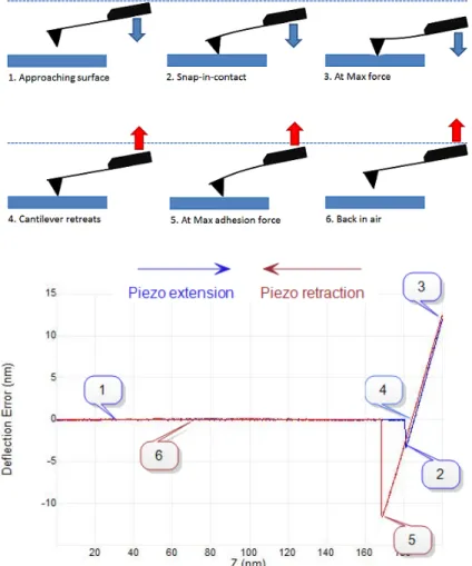 Figure 2.7.: Force curve. Left: path of the cantilever. Right: correspond- correspond-ing force curve