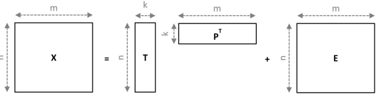 Figure 20 : Illustration de la structure des données du modèle ACP. 