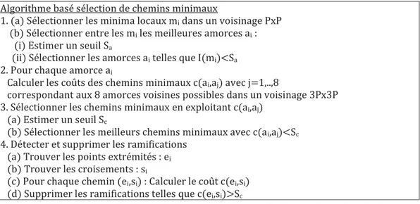 Figure 2 : Méthode utilisant la sélection de chemins minimaux pour la détection du squelette des fissures.