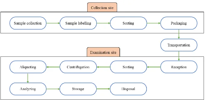 Figure 1-2 schematically depicts patient sample flow throughout the laboratory organization