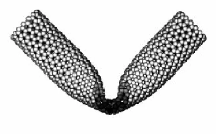 Figure 1.2 :  Contrainte mécanique qui induit une flexion  dans un nanotube de carbone