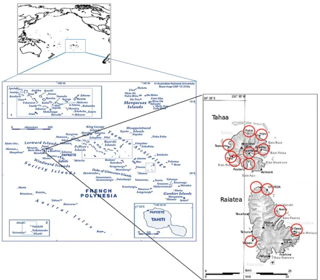 Figure 2 : Localisation des iles de Tahaa et de Raiatea (archipel de la Société). 
