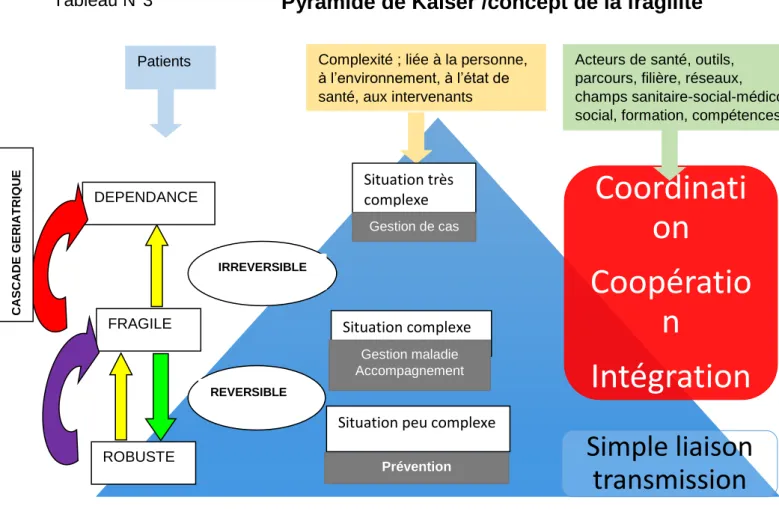 Tableau N°3  Pyramide de Kaiser /concept de la fragilité 