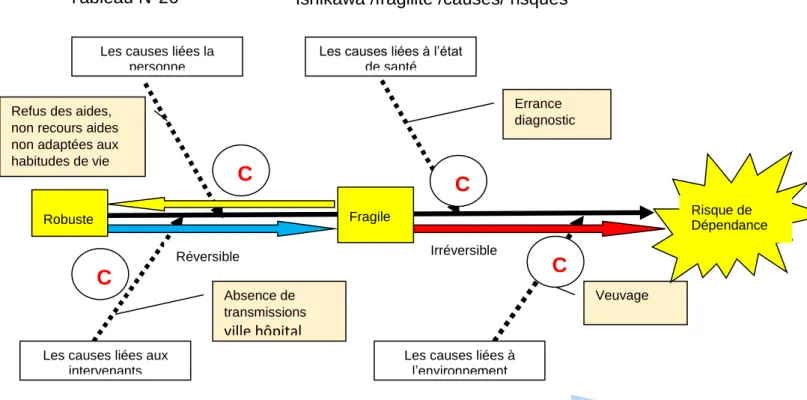 Tableau N°26  Ishikawa /fragilité /causes/ risques 