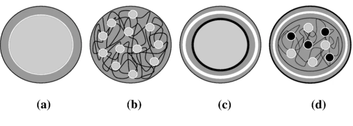 Fig.  1.  Different  morphologies  of  microparticles  obtained  by  microencapsulation:  (a)  microcapsule,  (b) microsphere,  (c) multilayer microcapsule  and (d) multishell and multicore  microsphere