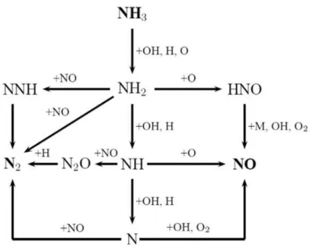 Fig. II.5 : Kinetics scheme of ammonia oxidation proposed by Glarborg et al. [111]. 