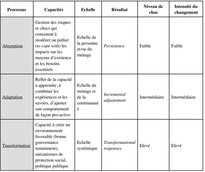 TABLEAU 4 : GRILLE D’ANALYSE DES PROCESSUS DE RESILIENCE DE BENE ET AL. (2012)