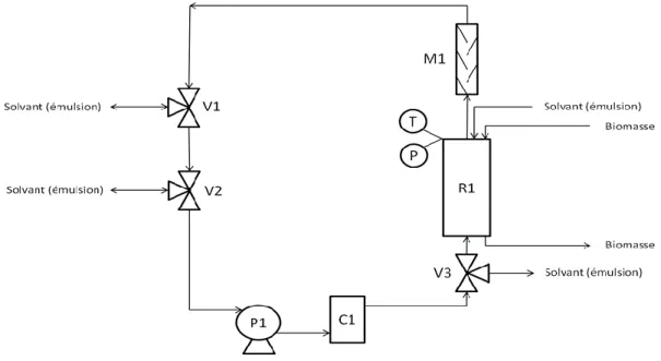 Figure 3.4 : PFD du montage du réacteur « batch » avec recirculation de l'émulsion  L’extraction se faisait par macération, à la température de la pièce