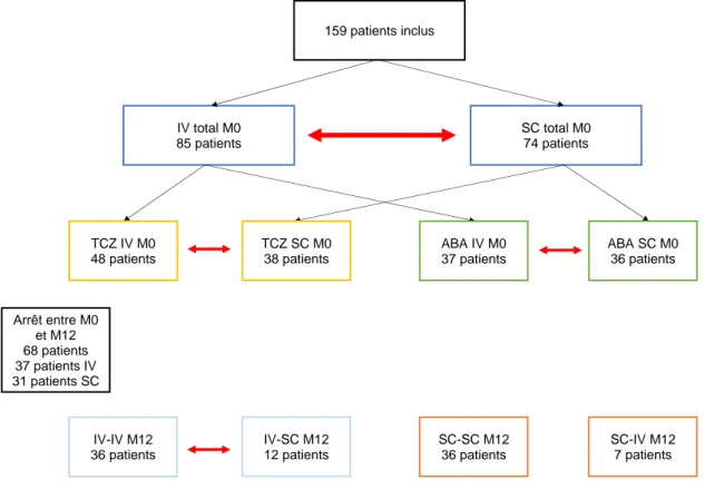 Figure 8. Répartition des patients. 