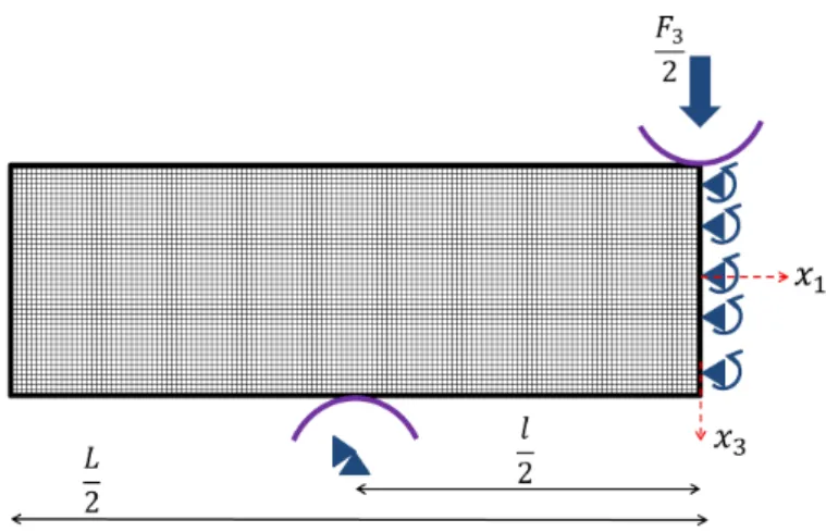 Figure 3.4.3: Modélisation éléments ﬁnis 2D avec prise en compte des appuis de ﬂexion