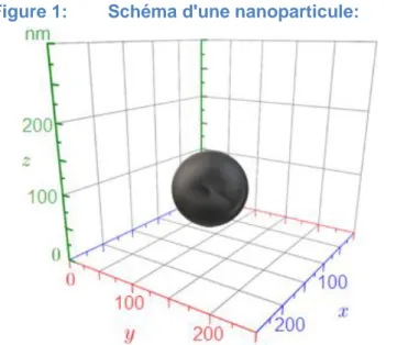Figure 1:  Schéma d'une nanoparticule: 