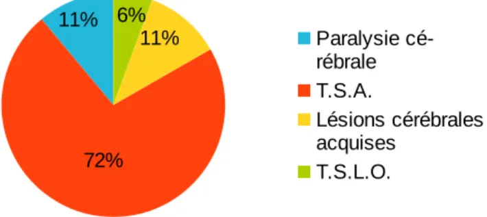 Diagramme 7 : Répartition de la population de la validation par pathologie