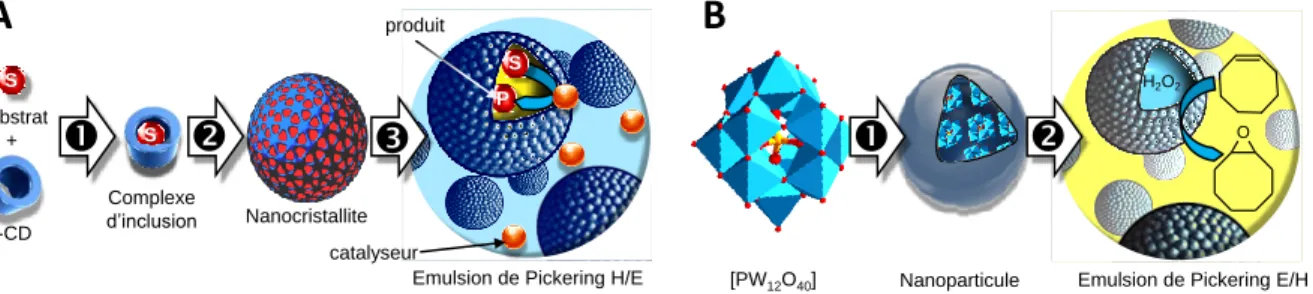 Figure  3.  A gauche  (A), principe  de la  combinaison  CD/substrat pour  la  réalisation d’un  système  PAC  (Pickering- (Pickering-Assisted  Catalysis) :  (1)  Formation  de  complexes  d'inclusion  ;  (2)  Formation  de  nanocristallites  ;  (3)  Forma