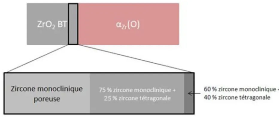 Figure 4.8 – Schéma de la composition d’une couche de zircone formée à 400 ℃ [72, 22].