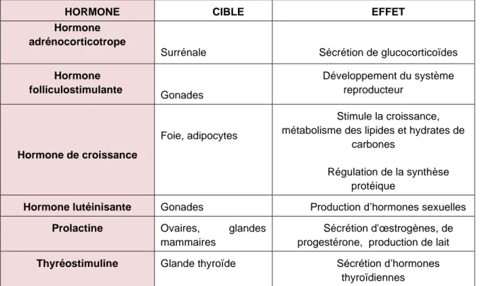 Tableau 1 : Cible et effets des hormones de l'adénohypophyse 