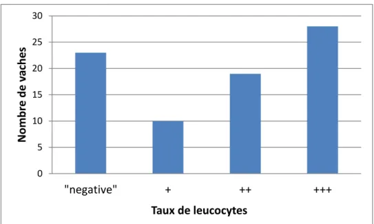 Figure 12 : Distribution des taux de leucocytes des liquides vaginaux, obtenus avec une  bandelette urinaire (n = 80)