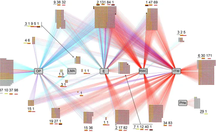 Figure 4. Gene-Phenotype network produced by SPLS, based on responses of eight sunflower genotypes to two drought stress scenarios implemented in controlled environment