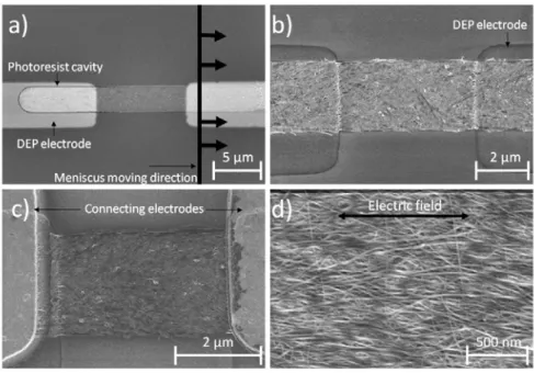 Figure 5. SEM images of the DWNT connections at different processing steps. (a) A 26 µm long cavity filled with a dense DWNT layer.