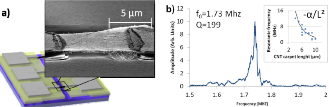 Figure 7. (a) SEM image of a suspended CNT carpet. (b) Typical Fabry–Perot measurement of one device (length: 10 µm, thickness: 3 nm, width: 8 µm) (inset) dependence of the resonant frequency values regarding to the nanocarpet lengths.