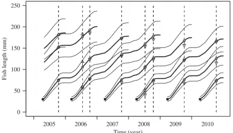 Figure 4 Cohort growth curves. Expected cohort centers (thick solid lines) plus and minus (thin solid lines) cohort standard deviations are computed by using the cohort growth model with the point estimates of the growth parameters which are reported in Ta