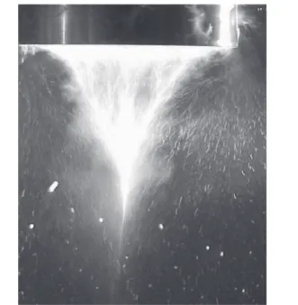 Fig. 6 displays one of the original images obtained in Ref. [15]
