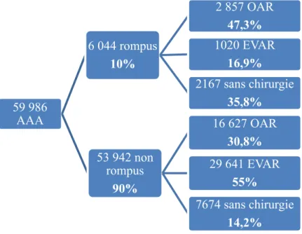 Figure 7 : organigramme de la distribution des AAA rompus et sans mention de rupture. 