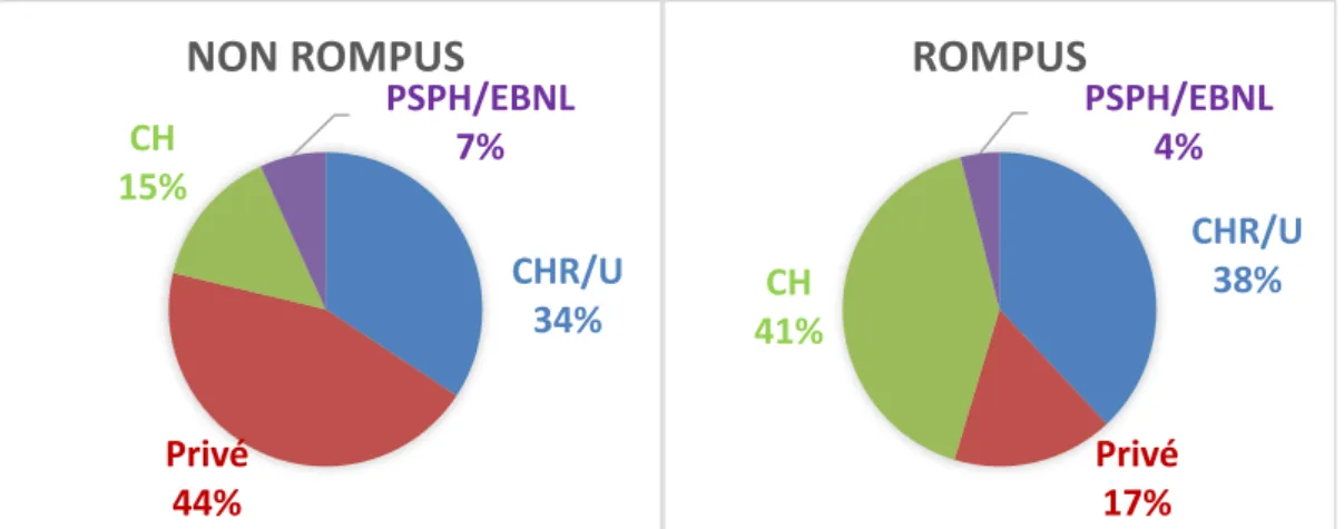 Figure 10 : Répartition selon le type d’établissement 