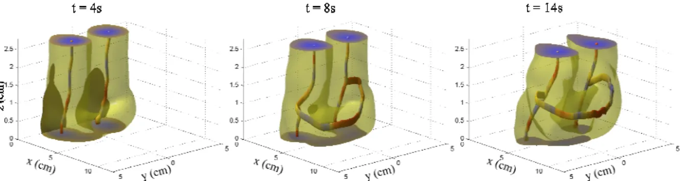 Figure  2:  Iso-surface  of  the  norm  of  vorticity  and  vorticity  lines  (see  text)