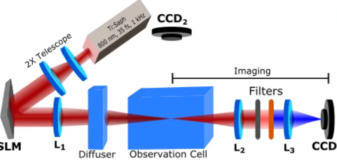 Fig. 1 Experimental setup used to study laser filamenta- filamenta-tion after the passage through a light diffuser cell