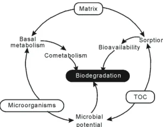 Fig. 2 Network of interactions between the three factors (trace organic contaminant (TOC), matrix, and microorganisms)  in-fluencing the biodegradation of TOCs during anaerobic digestion of contaminated sludge.