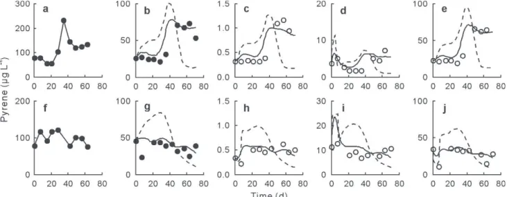 Fig. 3 Pyrene behaviour in primary (a–e) and secondary (f–j) sludge reactors: influent concentration of pyrene (a and f), effluent concentration of pyrene (b and g), freely dissolved pyrene (c and h), pyrene sorbed to dissolved and colloidal matter (d and 