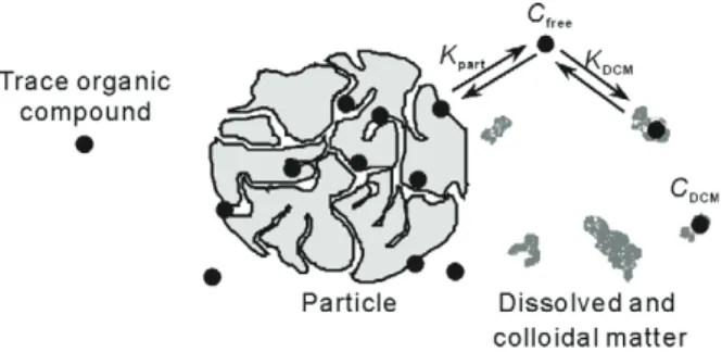 Fig. 4 Representation of the three-compartment model of a trace organic contaminant (TOC) in sludge (Barret et al., 2010c)