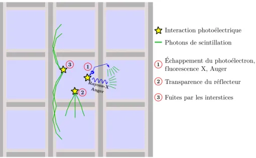 Figure 2.9 – Représentation schématique des principaux effets causant la diaphonie au sein d’une matrice de scintillateurs.