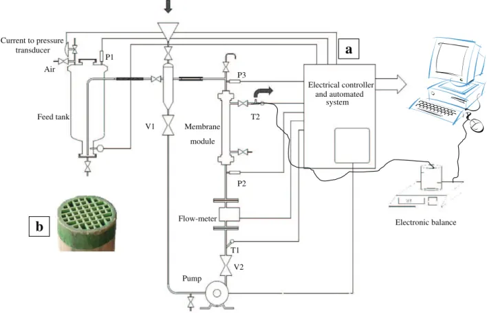 Fig. 5 shows the experimental data for the permeate ﬂux as a function of ﬁltered volume for ﬁltered wines (FW) added with  dif-ferent concentrations of tannins (1.25 g/l and 2.5 g/l) ﬁltered at 2 different transmembrane pressures (ΔP): 0.5 and 1 × 10 5 Pa