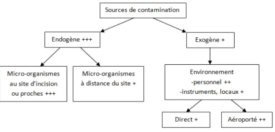 Figure 3 : Différentes sources de contamination et leur importance (nombre de « + ») 