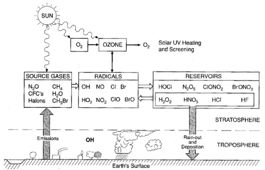 Figure 1.3 – Sch´ ema de principe de la chimie de l’ozone stratosph´ erique (d’apr` es Brasseur et al